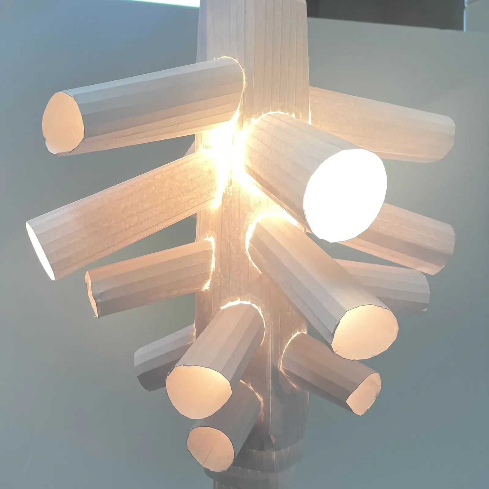 Conceptual sketches of a raspberry abstracted into a light pendant design