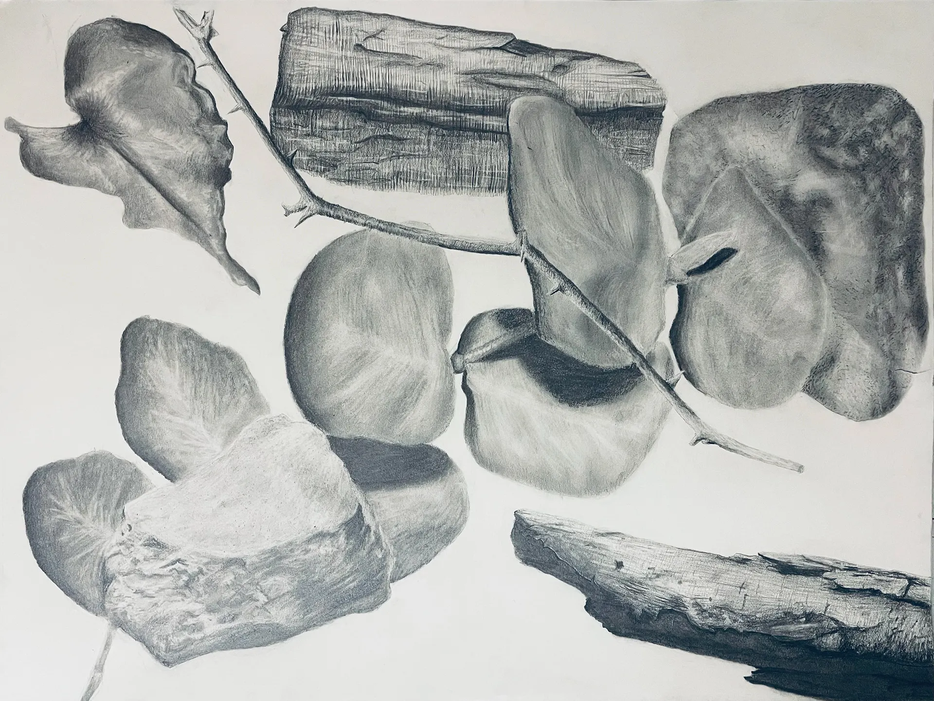 Graphite drawing of seven differently textured objects rendered as a composition